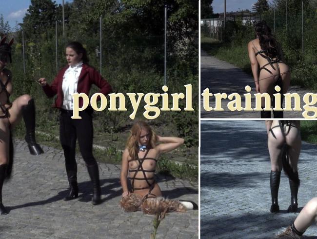 ponygirl training