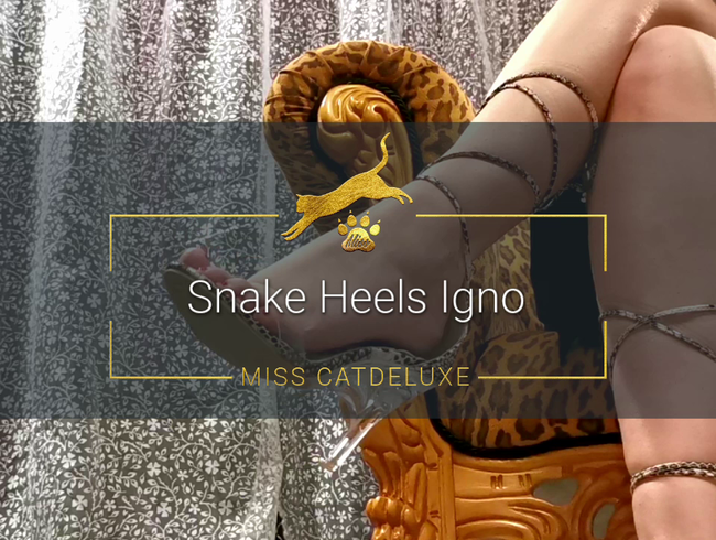 Snake heels Igno