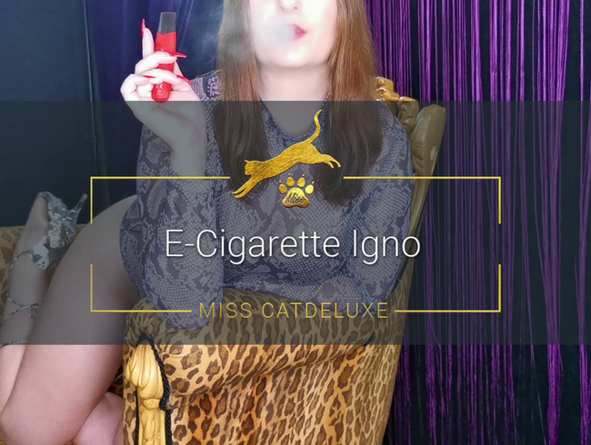 E-Cigarette Igno