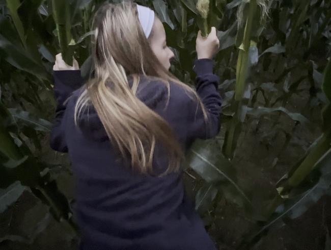Gebräunter Mann knallt weißes Mädchen im Maisfeld